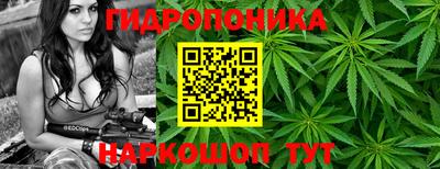 герыч Лесосибирск