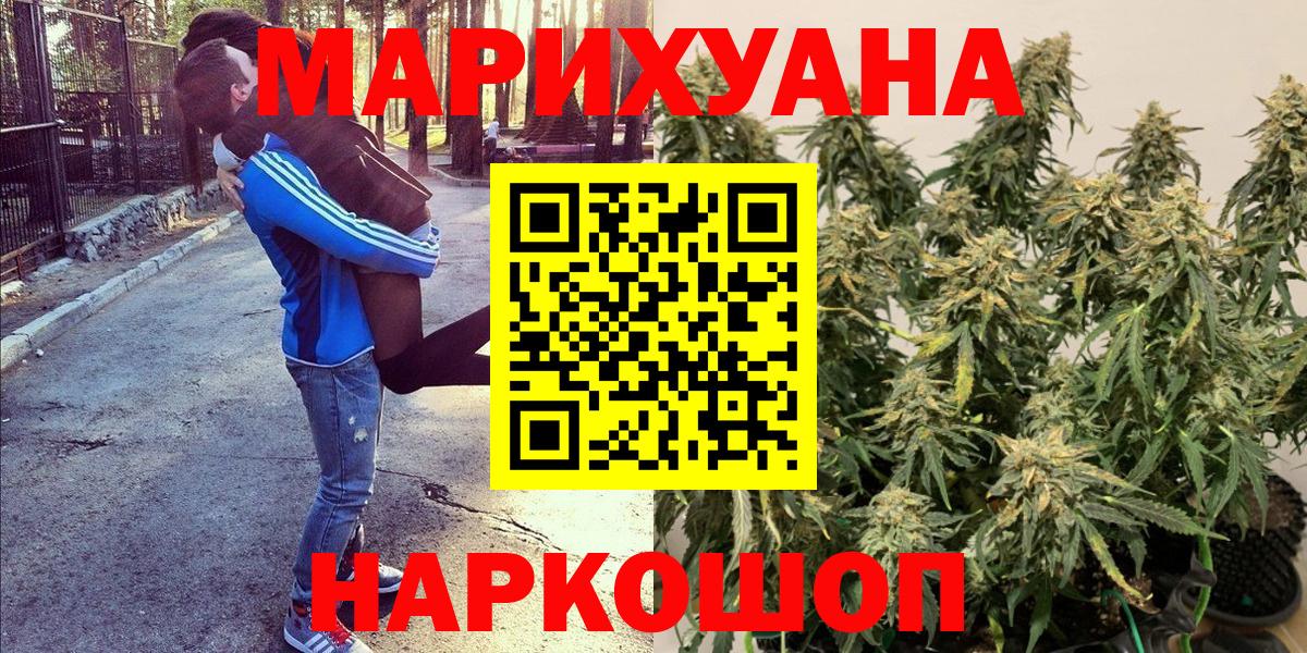 Бошки марихуана конопля  Канабис планчик  Энгельс  Вход с VPN 